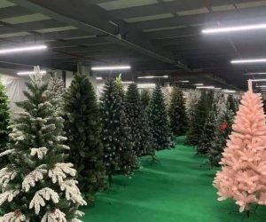 buy christmas tree